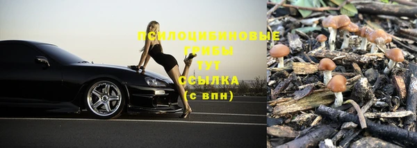 ECSTASY Тавда