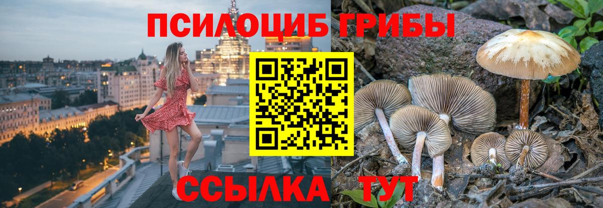 Галлюциногенные грибы мухоморы  купить наркоту  Владимир  Вход с VPN 