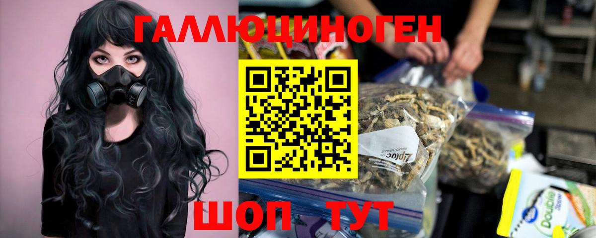 Псилоцибиновые грибы Psilocybe Владимир