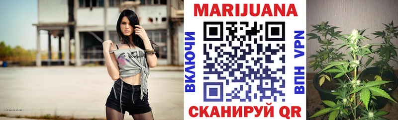 Конопля марихуана Владимир