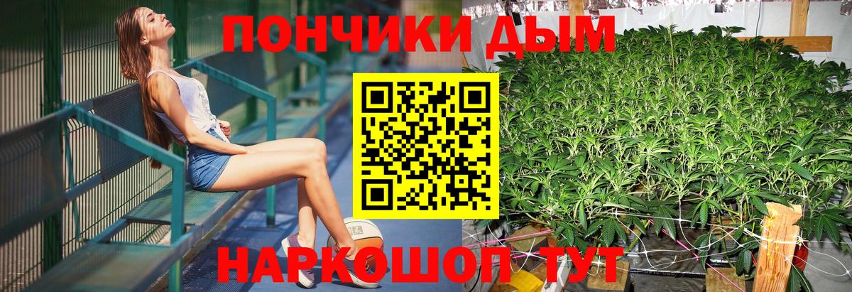 Шишки марихуана ГИДРОПОН Владимир
